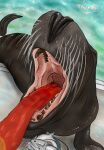  absurd_res anthro body_part_in_mouth breath breathing bucket canid canine container duo enclosure fangs feral fish fox gullet hi_res male male/male mammal marine mawplay open_mouth open_wide pinniped pool poolside sea_lion smell smelly teeth throat thux-ei water wet zoo_(disambiguation) 