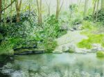  bush fallen_tree forest grass highres naoy_watercolor nature no_humans original painting_(medium) path plant pond rock sapling scenery traditional_media tree water watercolor_(medium) 