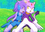  absurd_res accessory anthro blaze_the_cat buckhori_hardker clothing domestic_cat dragon duo eyelashes felid feline felis female female/female freedom_planet galaxytrail gloves grass_field hair_accessory hair_tie handwear hi_res horn mammal sash_lilac sega sonic_the_hedgehog_(series) 