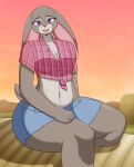  2023 anthro bottomwear breasts cleavage clothed clothing cloud digital_media_(artwork) disney farm female flyingtrace grey_body hi_res judy_hopps lagomorph leporid long_ears looking_at_viewer mammal multicolored_body navel plaid purple_eyes rabbit shirt shorts signature sitting sky solo thick_thighs tied_shirt topwear zootopia 