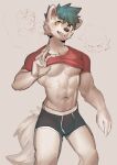  abs anthro briefs canid clothed clothing clothing_lift doggyaubrey male mammal muscular muscular_male pecs pose shirt shirt_lift solo topwear underwear yellow_eyes 