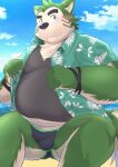  2023 absurd_res anthro belly big_belly black_nose blush bulge canid canine canis clothing cloud domestic_dog green_body hi_res humanoid_hands kemono lifewonders live_a_hero male mammal mokdai nazebesu_hobby outside overweight overweight_male shirt sitting solo swimwear topwear 
