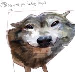  2023 ambiguous_gender brown_eyes canid canine digital_media_(artwork) english_text feral fur grey_body grey_fur guide_lines hi_res looking_at_viewer mammal meme profanity quadruped redraw sketch smile solo text tostyart twitter 