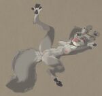  2023 anthro biped black_nose bodily_fluids breasts canid canine canis clitoris collar crossgender cuff_(restraint) digital_media_(artwork) facial_scar feet female fluffy fluffy_tail fur genitals grey_body grey_fur hands_above_head hi_res inner_ear_fluff lying mammal metal_collar navel nintendo nipples nude on_back open_mouth pawpads paws pussy red_eyes replicant_skrunkle restraints saliva scar simple_background solo spread_legs spreading star_fox tail teeth tongue tongue_out tuft wolf wolf_o&#039;donnell 