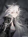  1girl absurdres animal_ear_fluff animal_ears antenna_hair arknights artist_name bandeau black_jacket blurry blurry_background breasts character_name chinese_commentary chinese_text collared_jacket commentary_request dated depth_of_field english_text eyelashes fang from_side grey_background grey_eyes grey_hair hair_between_eyes hair_ornament hairclip happy_birthday high_collar highres jacket lappland_(arknights) layered_sleeves long_eyelashes long_hair long_sleeves looking_at_viewer looking_to_the_side medium_breasts messy_hair open_clothes open_jacket pale_skin parted_lips scar scar_across_eye scar_on_face short_over_long_sleeves short_sleeves smile solo stippling_(texture) teeth upper_body very_long_hair watermark weibo_7796414672 weibo_logo weibo_username white_bandeau wolf_ears wolf_girl 