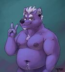  2022 anthro belly belly_tuft black_nose canid canine chest_tuft chin_tuft deep_navel ear_piercing facial_tuft gesture hair hi_res inner_ear_fluff kodi_(spyzslair) male mammal moobs musclegut navel nipples overweight piercing smile smirk solo solo_focus spiky_hair spyzslair tuft v_sign watermark white_hair 