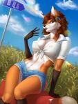  2023 anthro bedroom_eyes big_breasts biped black_body black_fur black_markings black_nose blue_eyes bottomwear breasts brown_hair bus_stop_sign canid canine canis cleavage clothed clothing cloud cloudscape crop_top cutoffs daisy_dukes denim denim_clothing digital_drawing_(artwork) digital_media_(artwork) ear_accessory ear_piercing elvofirida eyebrows eyelashes female fox fur hair hi_res hotpants looking_at_viewer luggage mammal markings midriff multicolored_body multicolored_fur narrowed_eyes navel nipple_outline open_mouth orange_body orange_fur outside piercing samantha_(syronck01) seductive shirt shorts sky solo topwear white_body white_clothing white_fur white_shirt white_topwear 