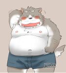  2023 anthro belly big_belly blush canid canine canis clothing domestic_dog eyes_closed hi_res kemono male mammal moobs navel nipples overweight overweight_male simple_background solo toshi_(artist) underwear 