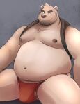  2023 absurd_res anthro balls barely_visible_balls barely_visible_genitalia bear belly big_belly clothed clothing genitals hi_res kemono male mammal moobs navel nipples one_eye_closed overweight overweight_male polar_bear raised_clothing raised_shirt raised_topwear shirt simple_background sitting solo topwear ursine wink zcdartz 