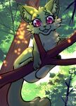  branch domestic_cat felid feline felis female feral forest forest_background froggsalt fur green_body green_fur hi_res in_tree light looking_from_below mammal nature nature_background perspective plant purple_eyes solo solo_focus sunlight tree 