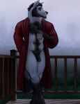  2019 abs anthro balls bathrobe bathrobe_only beard bgn body_hair canid canine casual_nudity chest_hair clothing coffee_cup container cup drinking facial_hair feet flaccid fog foggy genitals happy_trail hi_res looking_aside male mammal manly muscular navel open_bathrobe outside pecs penis plant pubes railing robe solo steam tree 