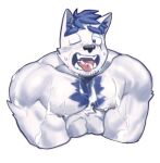  1boy absurdres animal_ear_fluff animal_ears bara blue_doggo_(ttn) blue_fur blue_hair bukkake chest_tuft cropped_shirt cum cum_in_mouth cum_on_body cum_on_male cum_on_pectorals dog_boy dog_ears furry furry_male goatee_stubble half-closed_eyes highres huge_eyebrows implied_yaoi large_pectorals male_focus muscular muscular_male open_mouth original pectoral_squeeze pectorals short_hair solo sweat thick_eyebrows tongue tongue_out ttn_(239_239) two-tone_fur v_arms white_fur 