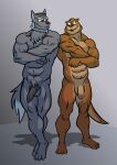  abs anthro balls barefoot biceps brown_body brown_fur canid canine canis casual_nudity deltoids dilgearwolfang duo feet flaccid foreskin fur genitals hi_res humanoid_feet humanoid_genitalia humanoid_hands humanoid_penis male male/male mammal manly muscular muscular_anthro muscular_male mustelid navel nude otter pecs penis plantigrade simple_background standing toes wolf 