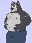  adastra adastra_(series) amicus_(adastra) anthro belly belt bigboywuff bottomwear bulge canid canine canis clothing denim denim_clothing echo_project fur grey_body grey_fur hands_on_belly hi_res jeans male mammal nipples pants pecs solo thick_thighs tuft wolf 
