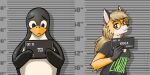  anthro avian bird canid canine clothing duo expiredpopsicle female fox hi_res male male/female mammal mugshot penguin shirt text text_on_clothing text_on_shirt text_on_topwear topwear tux_the_penguin xenia_(linux_fox) 