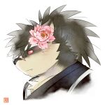  1boy animal_ears bara brown_fur brown_hair chest_tuft closed_mouth colored_sclera commentary_request dog_boy dog_ears fang fang_out flower from_side furry furry_male hair_flower hair_ornament high_ponytail japanese_clothes kimono light_smile long_hair male_focus peony_(flower) portrait profile red_sclera rossciaco scar scar_on_face scar_on_nose shino_(housamo) signature simple_background solo thick_eyebrows tokyo_afterschool_summoners two-tone_fur white_background 