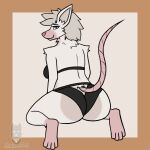  anthro big_butt black_clothing breasts butt clothed clothing digital_media_(artwork) female hair hi_res looking_at_viewer mammal murid murine panties rat rodent simple_background sirdoomwolf smile solo underwear 