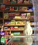  animal brand_name_imitation cat commentary english_commentary highres indoors javeria_khoso looking_at_viewer no_humans original reflection refrigerator shop sunlight 