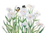  1boy 1girl animal animal_focus bee bug cat english_commentary flower flower_focus grass highres insect_wings nature no_humans original painting_(medium) simple_background smile titsay traditional_media watercolor_(medium) white_background white_flower wings 