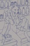  2:3 alcohol alcoholic_drink anthro beverage bottomless bottomless_female bowl breasts canid canine canis clothed clothing container exposed_breasts female food fruit fur genitals hi_res looking_at_viewer mammal nipples pantsless plant pussy sitting sitting_on_counter smile solo thedarkgateway wolf 