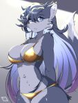  2023 aezirfest anthro big_breasts bikini blue_eyes breasts canid canine canis clothed clothing digital_media_(artwork) dipstick_tail female female_anthro fur grey_body grey_fur grey_hair hair hands_behind_back hi_res kemono long_hair looking_at_viewer mammal markings multicolored_body multicolored_fur ress_(ress_ue) solo swimwear tail tail_markings thick_thighs two_tone_body two_tone_fur wide_hips wolf 
