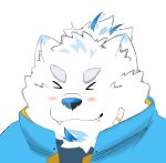  &gt;_&lt; anthro bandage_on_face blush canid canine canis domestic_dog eyes_closed hi_res kopepe_08 lifewonders live_a_hero male mammal nordic_sled_dog samoyed smile solo spitz topknot yohack 