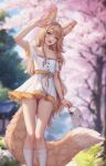  1girl :d ahoge animal_ear_piercing animal_ears arm_up bag braid brown_eyes brown_hair cherry_blossoms dress earrings fangs feet_out_of_frame fox_ears fox_girl fox_tail handbag highres holding holding_bag jewelry khiara_(personal_ami) large_tail long_hair looking_at_viewer no_panties off-shoulder_dress off_shoulder open_mouth original outdoors personal_ami pussy side_braids signature smile socks solo tail teeth uncensored upper_teeth_only very_long_hair white_dress white_socks 