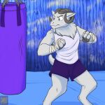  1:1 anthro blue_eyes bottomwear bovid caprine clothed clothing fingers foxenawolf fur hooved_fingers hooves horn male mammal punching_bag sheep short_tail shorts solo tail white_body white_fur 