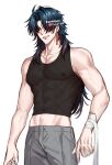  1boy abs bandaged_arm bandages black_shirt blade_(honkai:_star_rail) covered_nipples cowboy_shot earrings grey_pants hair_over_eyes highres honkai:_star_rail honkai_(series) jewelry male_focus medium_hair muscular muscular_male navel nipples pants parted_bangs red_eyes rourouki see-through see-through_shirt shirt simple_background smile solo standing tank_top tassel tassel_earrings twitter_username veins veiny_arms watermark white_background 