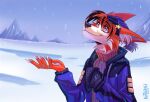  anthro canid canine cold flow flow_owo fox male mammal rethornal snow snowing solo tundra winter 