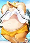  anthro antlers beach belly blue_eyes blush bottomwear brown_body brown_fur bulge clothed clothing clothing_lift deer fur hat headgear headwear hi_res horn inuiookawa kazusa male mammal moobs navel overweight overweight_male seaside shirt shirt_lift shorts smile solo straw_hat tamacolle topwear 