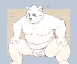  2023 anthro asian_clothing belly big_belly canid canine canis clothing domestic_dog east_asian_clothing hi_res humanoid_hands inunoshippo japanese_clothing kemono male mammal mawashi moobs overweight overweight_male simple_background solo sumo sumo_wrestler 