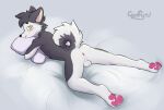  anthro anus balls blush butt c0nf1rm canid canine canis domestic_dog fur genitals hi_res husky looking_at_viewer male mammal nordic_sled_dog nude paws simple_background solo solo_focus spitz 