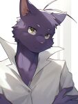  2023 ahoge anthro cheek_tuft clothing colored crossed_arms domestic_cat dress_shirt facial_tuft felid feline felis fur hair hi_res male mammal monotone_body monotone_fur morenatsu pink_nose ponzu_tas purple_body purple_fur shin_(morenatsu) shirt simple_background solo topwear tuft white_background white_clothing white_dress_shirt white_topwear yellow_eyes 