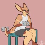  1:1 2023 5_fingers anthro artist_name bottomwear clothing digital_media_(artwork) dumbbell exercise fingers foxinuhhbox fur hi_res kangaroo looking_at_viewer macropod male mammal marsupial shirt shorts solo tank_top topwear watermark weightlifting weights white_clothing white_shirt white_tank_top white_topwear workout 