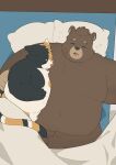  2023 anthro bear bedding belly big_belly black_body black_nose blanket domestic_cat duo eyes_closed felid feline felis haoming hi_res kemono lying mammal pillow sleeping 