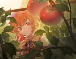  1girl aki_minoriko apron blonde_hair collared_shirt dated food fruit_hat_ornament furahata_gen grape_hat_ornament hat hat_ornament highres holding holding_food holding_vegetable leaf looking_at_viewer mob_cap open_mouth red_apron red_eyes red_headwear shirt short_hair signature smile solo tomato touhou upper_body vegetable yellow_shirt 