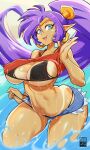  bayeuxman big_breasts bikini breasts butt clothing ear_piercing ear_ring female hair hi_res humanoid not_furry piercing purple_hair ring_piercing shantae shantae_(series) solo suntan swimwear tan_line wayforward 