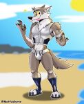  2023 anthro beach briefs bulge canid canine canis clothing cloud digital_drawing_(artwork) digital_media_(artwork) english_text epic_games fortnite gesture hi_res looking_at_viewer m.mcallister88 male mammal plantigrade sea seaside shaka_sign signature solo star sun text tongue tongue_out underwear water wendell_(fortnite) wolf 