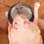  absurd_res ambiguous_gender bowl catwheezie container domestic_cat drinking felid feline felis feral fur green_eyes hi_res mammal obese open_mouth overweight reflection solo tongue water whiskers white_body white_fur 