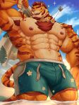  abs absurd_res another_eidos_of_dragon_vein_r anthro beach body_hair bottomwear bulge chest_hair clothing corca_(anothereidos_r) felid fur hi_res male mammal miazuma_shouki muscular muscular_anthro muscular_male nipples one_eye_closed orange_body orange_fur pantherine pecs seaside shorts solo striped_body striped_fur stripes tiger wink 