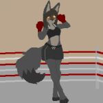  anthro bottomwear boxing boxing_gloves breasts canid canine clothing cute_eyes female fox gym_bottomwear gym_clothing handwear low_res mammal small_breasts solo sport 
