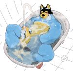  anthro australian_cattle_dog balls bandit_heeler bathroom bebebebebe black_body black_fur blue_body blue_fur bluey_(series) blush bodily_fluids canid canine canis cattledog clenched_teeth cum cum_in_water cum_on_self domestic_dog drain fingering fingering_self floor foreskin fur genital_fluids genitals herding_dog hi_res humanoid_genitalia humanoid_penis male mammal masturbation muscular muscular_male nude pastoral_dog pecs penile penile_masturbation penis solo teeth tile tile_floor toilet yellow_body yellow_fur 