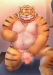  2023 anthro balls belly felid genitals hi_res humanoid_genitalia humanoid_hands humanoid_penis kemono male mammal moobs musk overweight overweight_male pantherine penis pink_nose solo tiger yakiniku 