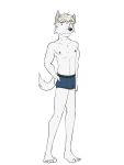  adastra adastra_(series) anthro boxer_briefs boxer_briefs_only bulge canid canine canis cassius_(adastra) clothed clothing echo_project fuze hi_res male mammal navel nipples simple_background solo topless underwear underwear_only white_background wolf 