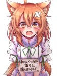  1girl animal_ear_fluff animal_ears breasts crossed_bandaids crying crying_with_eyes_open dress fang fox_ears fox_girl fox_tail highres kudamaki_tsukasa medium_breasts medium_hair open_mouth orange_eyes orange_hair pet_shaming short_sleeves sign sign_around_neck simple_background siw0n tail tears torn_clothes torn_dress touhou translation_request white_background white_dress 