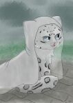  absurd_res ambiguous_gender felid feral hi_res jayfeather233 mammal pantherine rain_coat raining sitting snow_leopard solo 