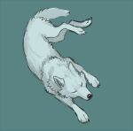  ayaka canid canine canis claws domestic_dog feral fur grey_body grey_fur husky lying mammal nordic_sled_dog paws simple_background sketch sleeping solo spitz teal_background 