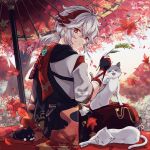  1boy animal_on_lap antenna_hair armor bandaged_hand bandages black_cat black_gloves brown_hakama cat crossed_bangs falling_leaves fingerless_gloves from_behind genshin_impact gloves grey_hair hair_between_eyes hakama hakama_shorts highres holding holding_leaf japanese_armor japanese_clothes kaedehara_kazuha leaf leaf_print looking_at_viewer looking_back male_focus maple_leaf maple_leaf_print medium_hair multicolored_hair on_lap outdoors parted_lips red_eyes red_hair short_ponytail shorts sitting smile streaked_hair sumi_noth tassel tree umbrella vision_(genshin_impact) white_cat 