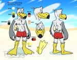  anthro avian bailey_(brogulls) bird brogulls bulge clothed clothing gull lari larid male model_sheet nipples poppin swimming_trunks swimwear topless 